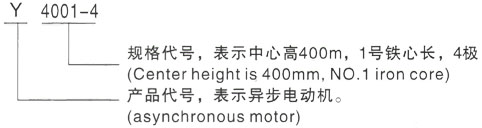 西安泰富西玛Y系列(H355-1000)高压YE2-315L2-2三相异步电机型号说明