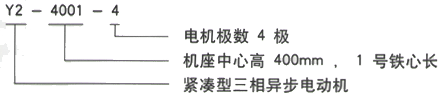 YR系列(H355-1000)高压YE2-315L2-2三相异步电机西安西玛电机型号说明